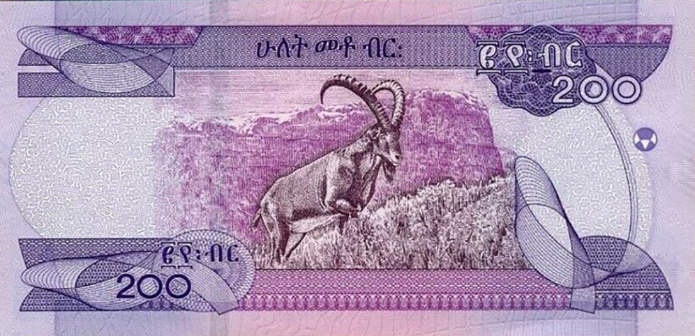 PN56a Ethiopia - 200 Birr (2020)